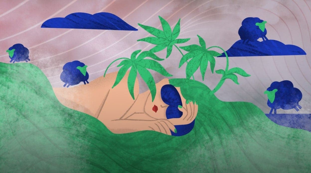 illustration sleep