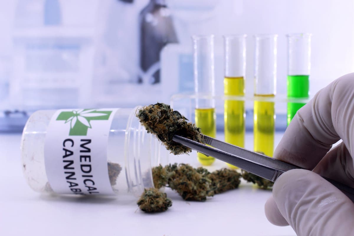 Medical cannabis
