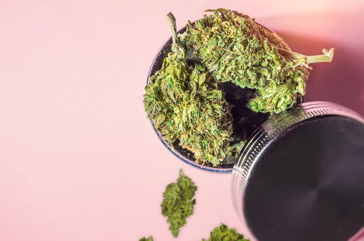 cannabis flower