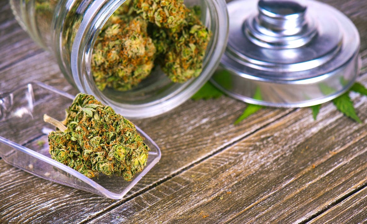 cannabis