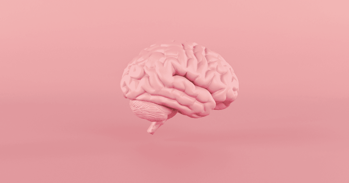 Brain study: A pink brain in the middle of a pink background