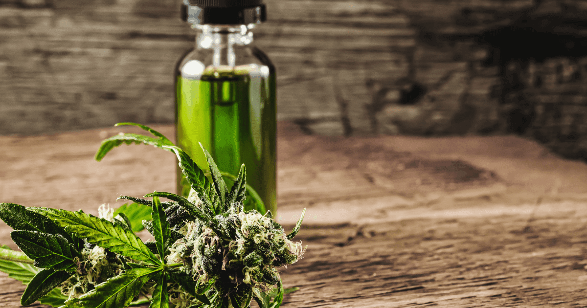 Endocannabinoid system: Cannabis leaf and a bottle of green hemp oil on a wooden surface