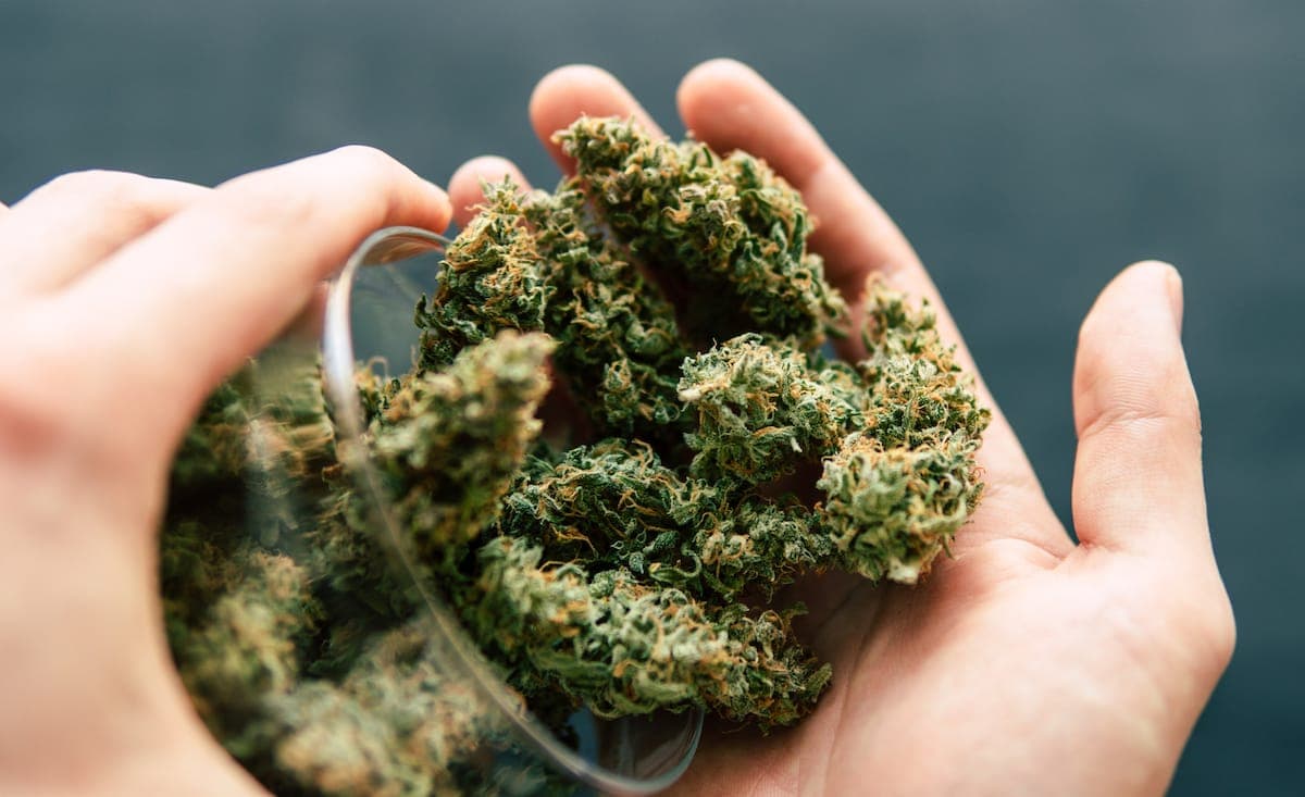 cannabis tolerance break