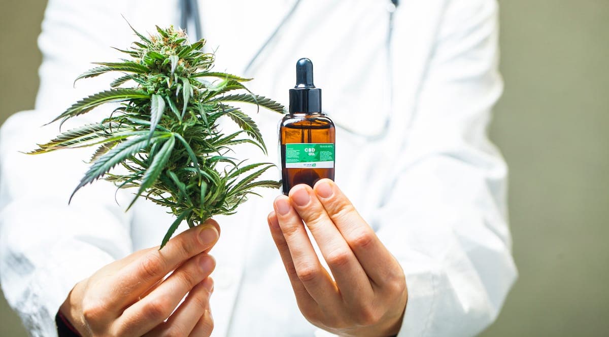 cannabis report