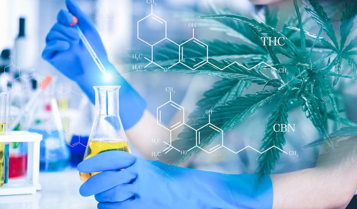 cannabinoid clinical trials