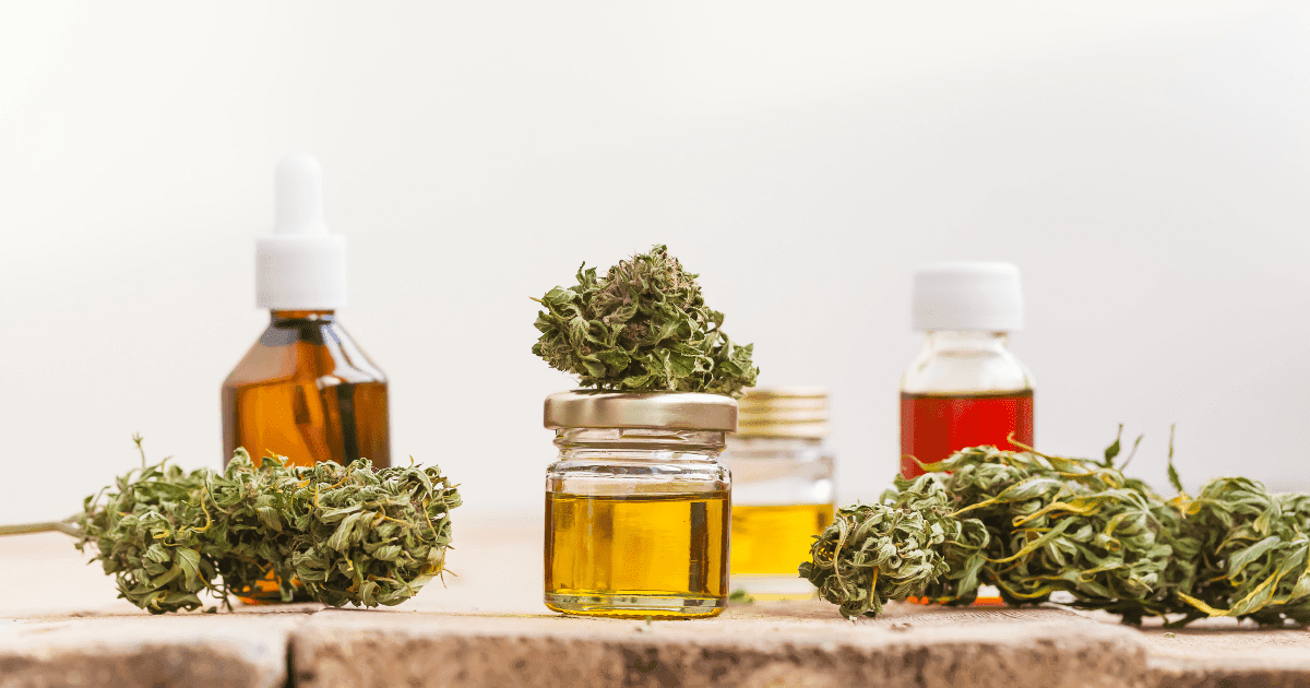 Obesity: A row of yellow CBD oil in small bottles with cannabis flowers around them