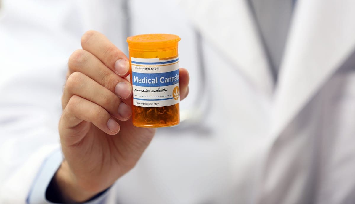 Zerenia clinic: doctor holding medical cannabis
