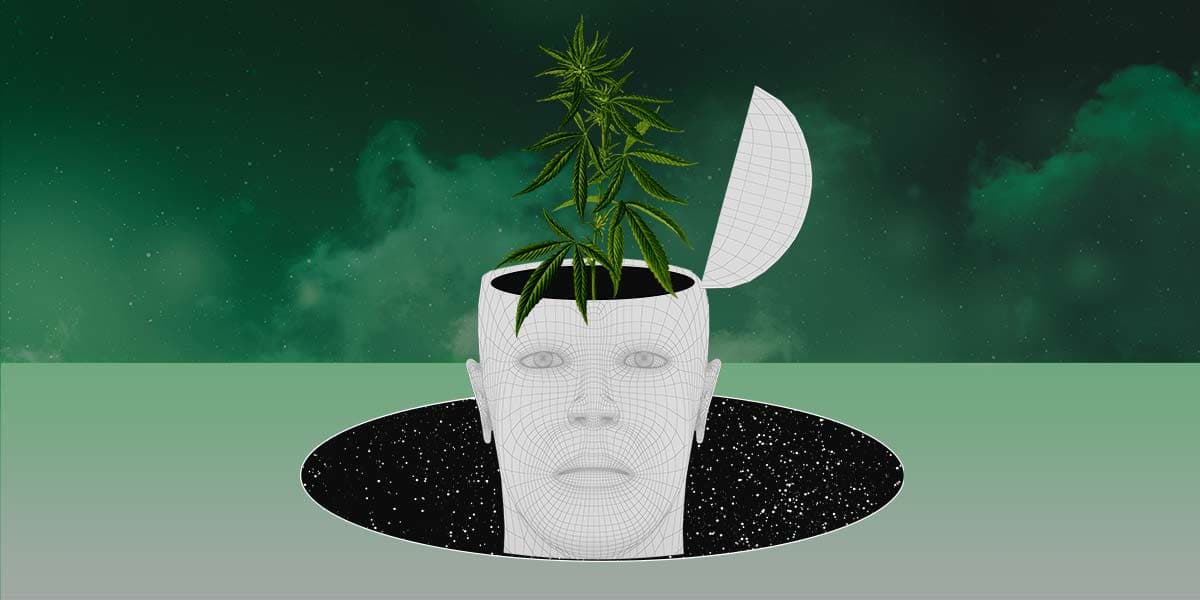 Anxiety: Cannabis Juicyfields