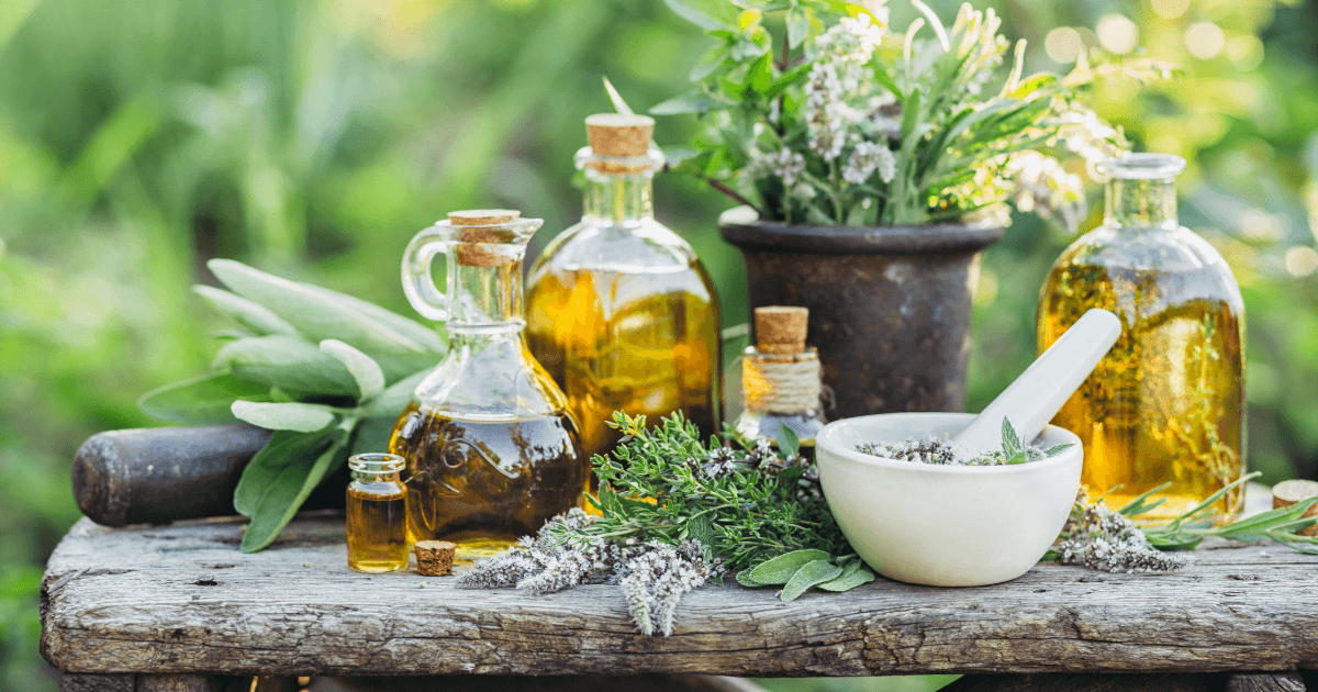 Herbs: A collection of herbs and CBD oils