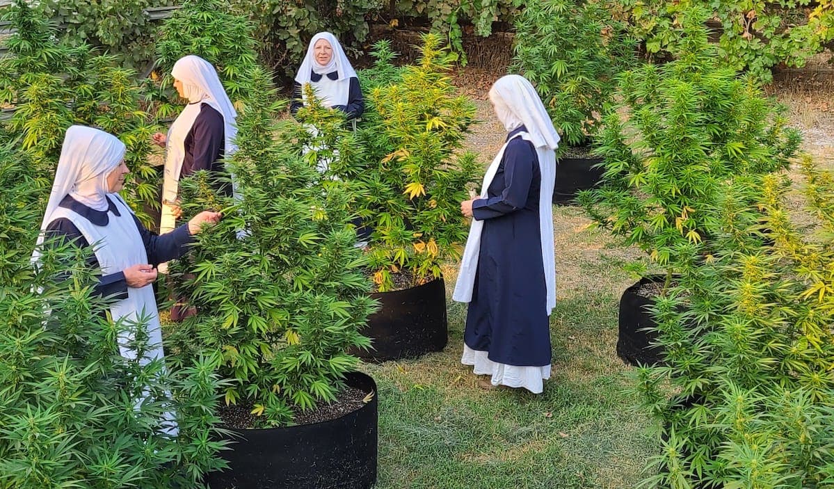 Sisters of the Valley