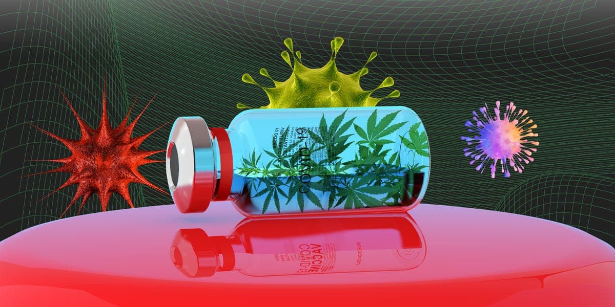 Covid-19: Could CBD play a role