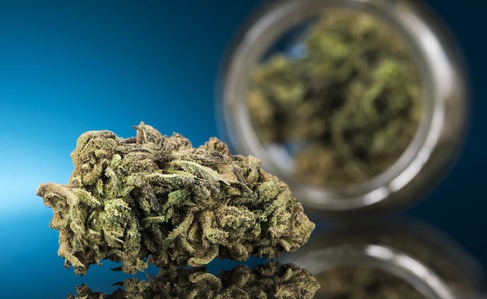 Tackling the myths and misconceptions of medical cannabis