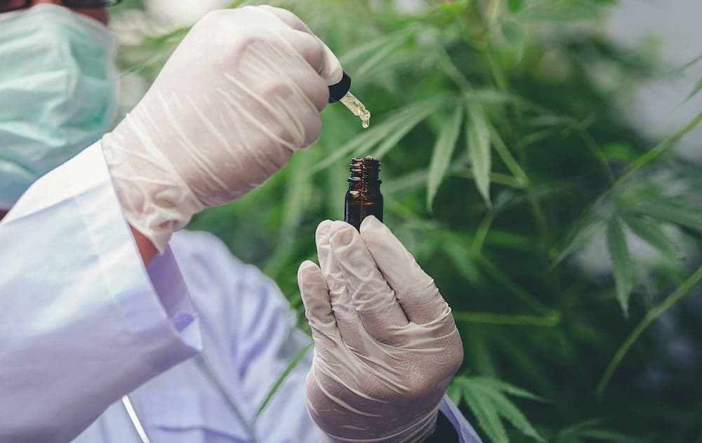 Pebble Life Sciences, a Texas-based cannabinoid company has partnered with a leading US cancer research centre