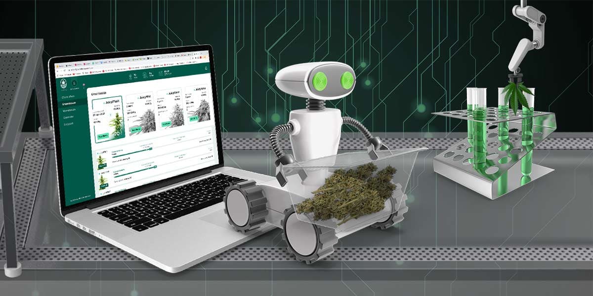 The role of technology in cannabis