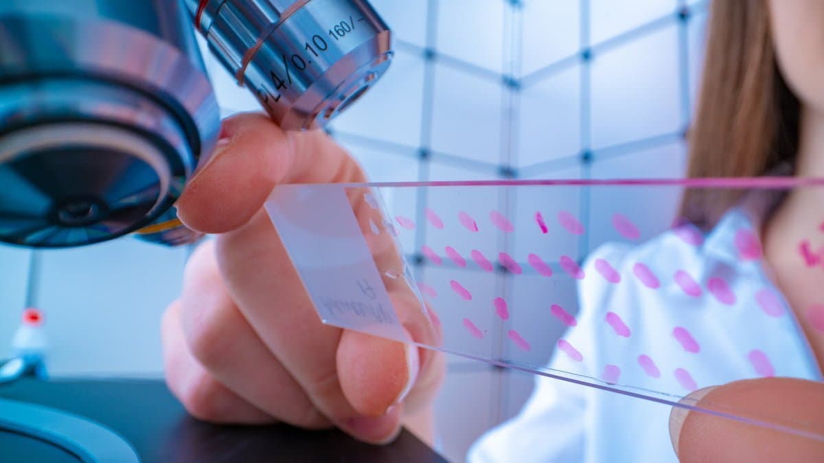Cannabotech claims botanical drug kills '100%' of pancreatic cancer cells