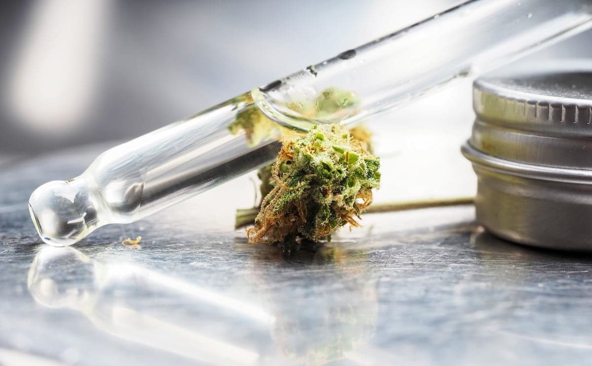 Proposed UK trial to study cannabis as treatment for chronic pain