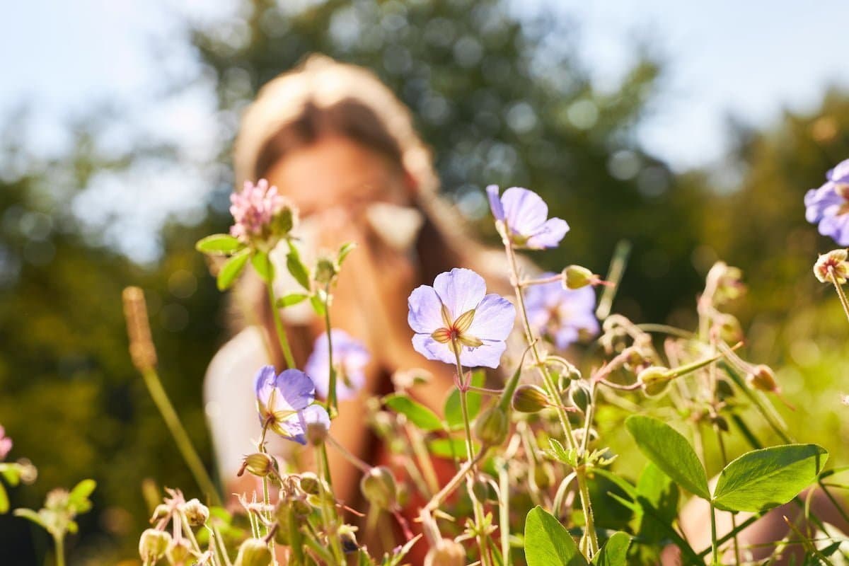 How CBD may help ease hay fever symptoms