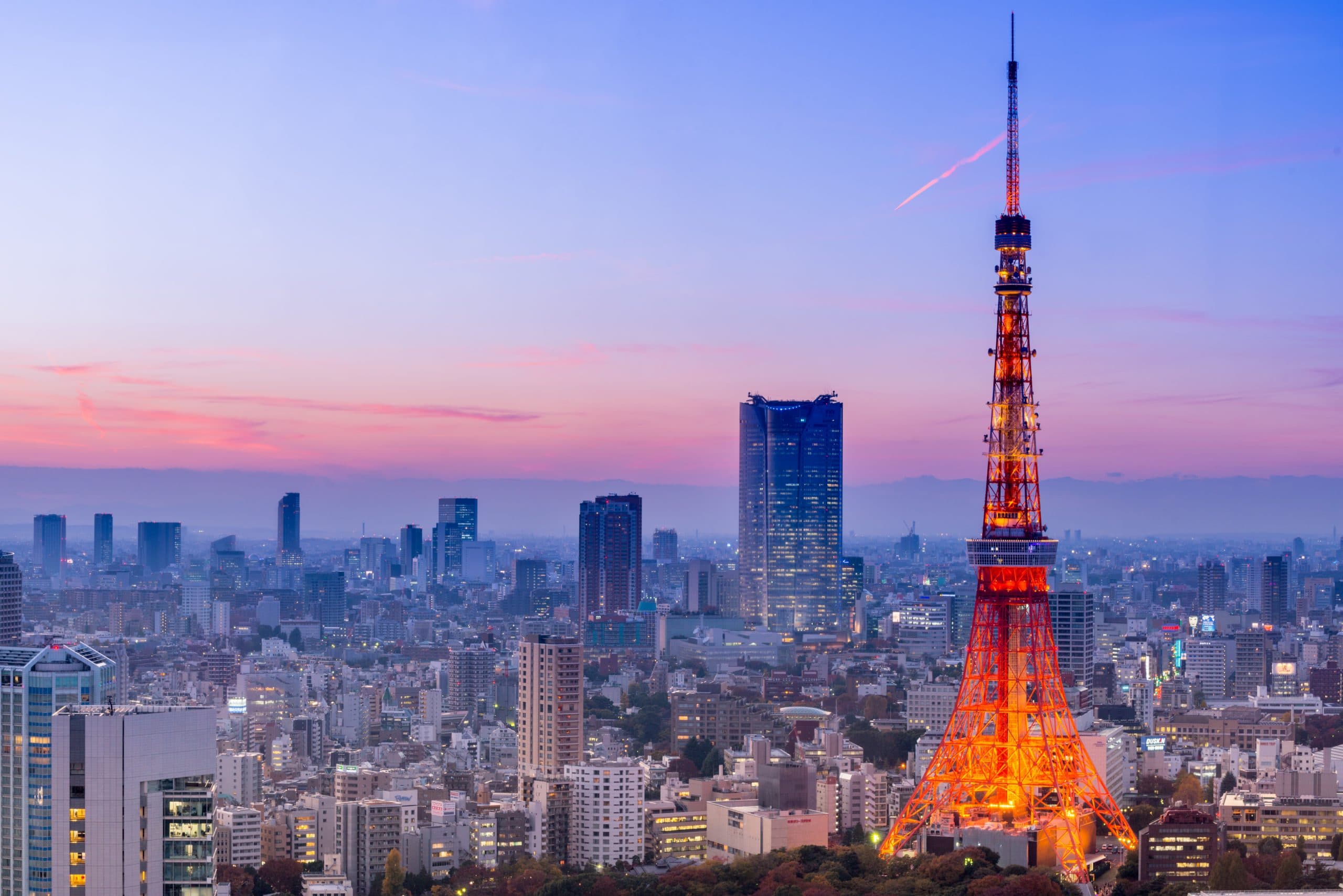 japan cannabis control law