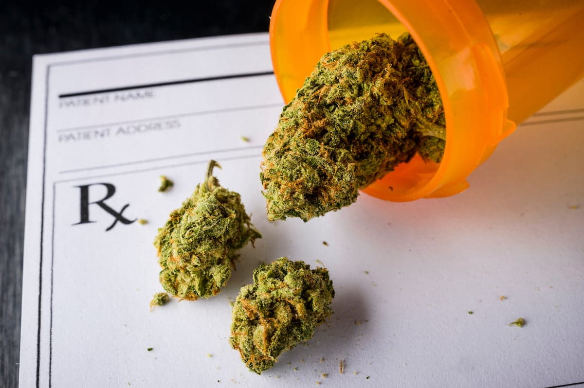 UK doctors present “leading” research on medical cannabis