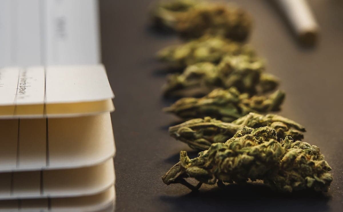 Legalisation could mitigate mental health risk of high-THC cannabis, say experts