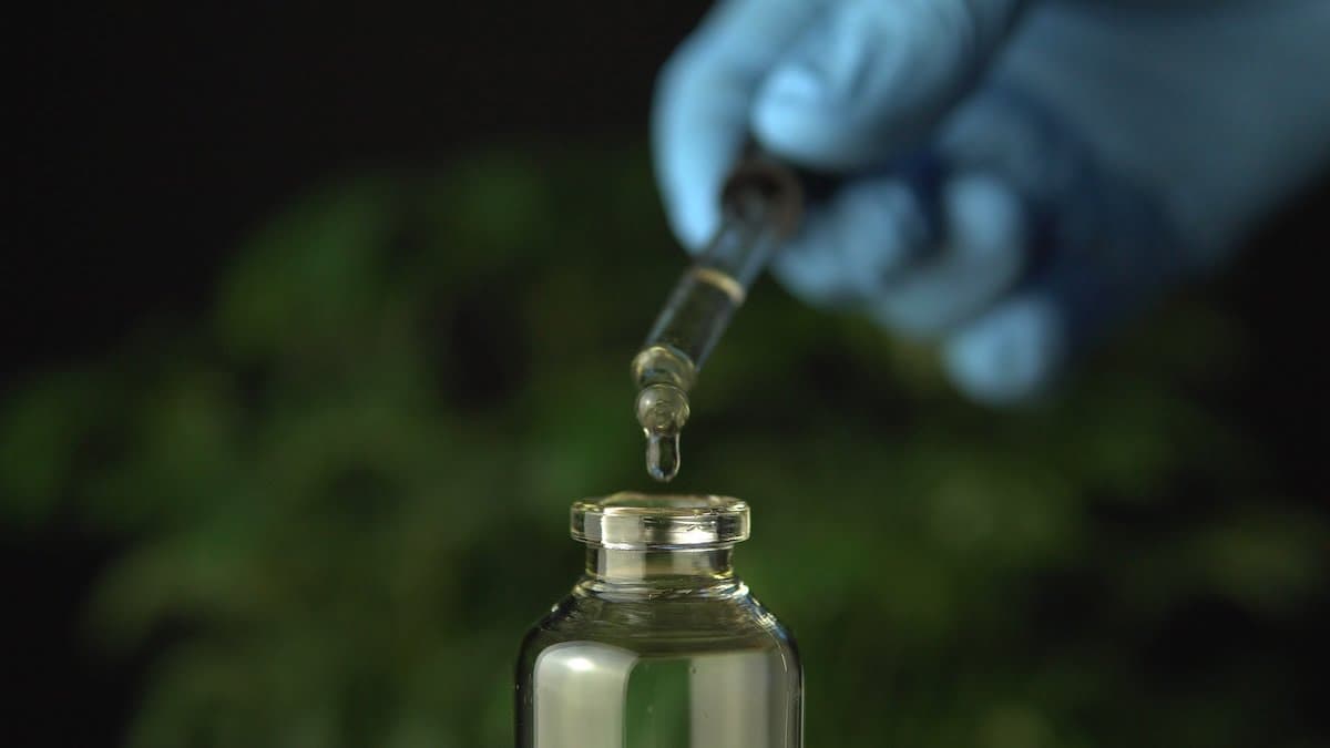 Four new medical cannabis studies