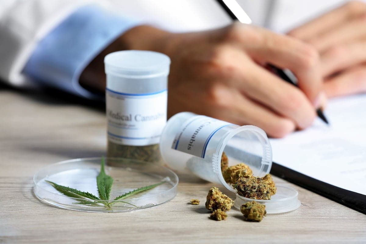First Jamaican medical cannabis released in the UK