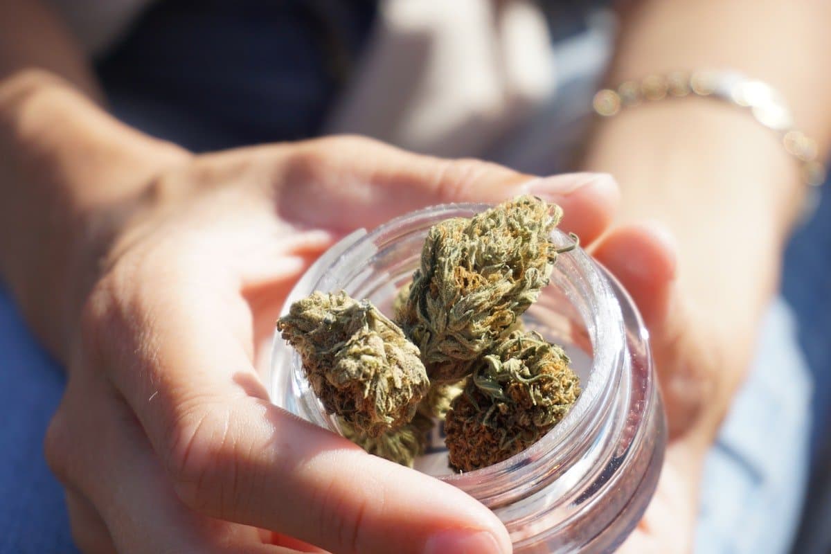 Approximately 1.8million self-medicating with cannabis four years on from law change