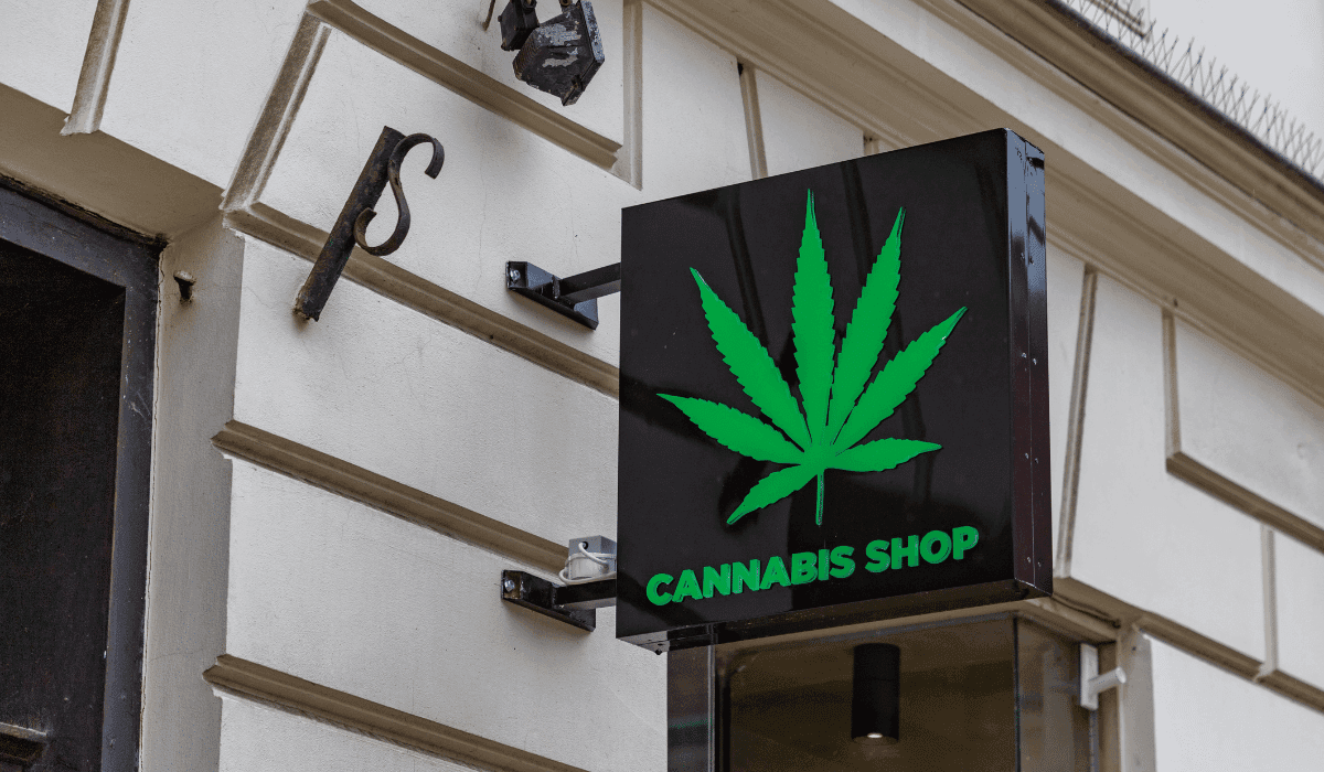 Cannabis legalisation and psychosis: study finds no increase in rate