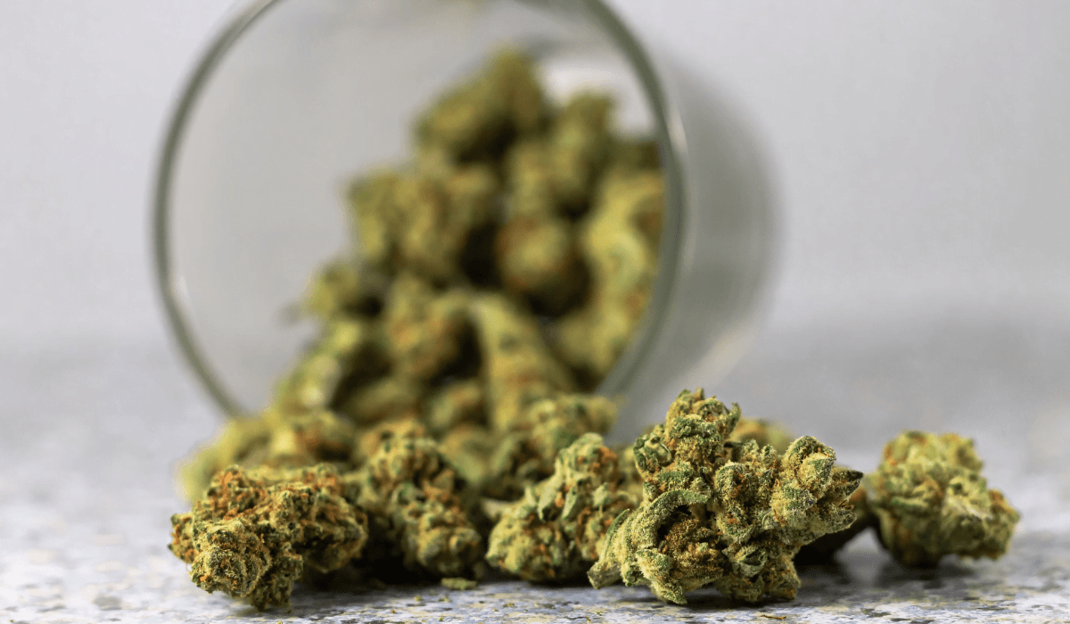 Nearly one third of people with chronic pain turn to cannabis - study