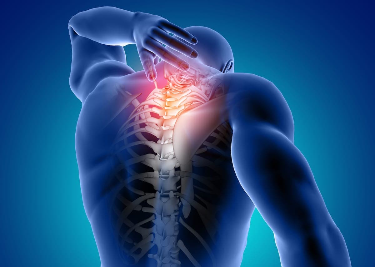 3D image of male spine