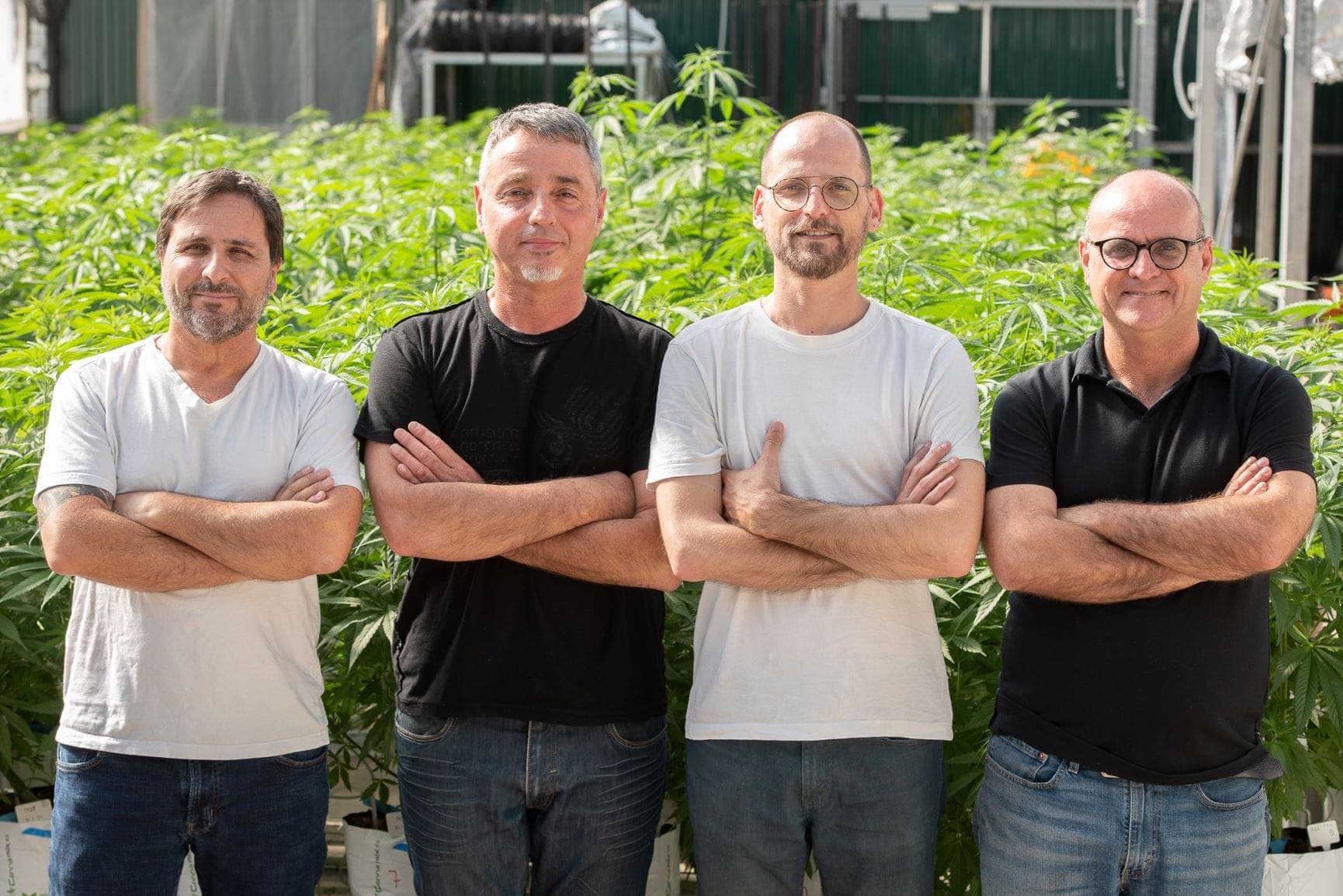 RCK cannabis startup