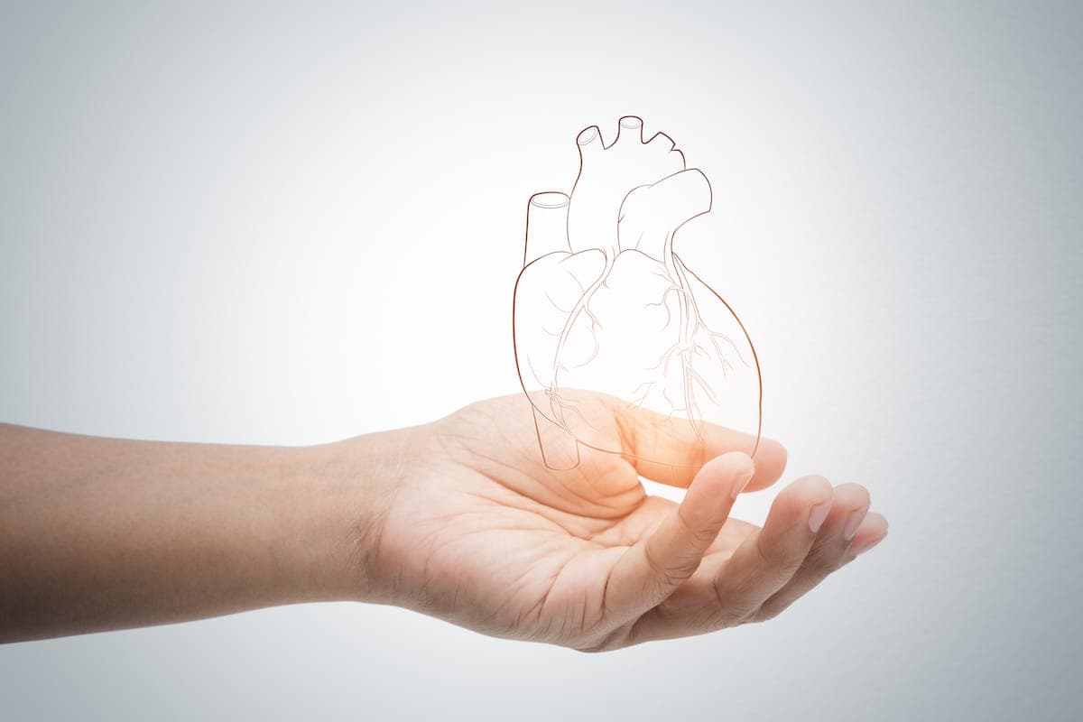 heart concept