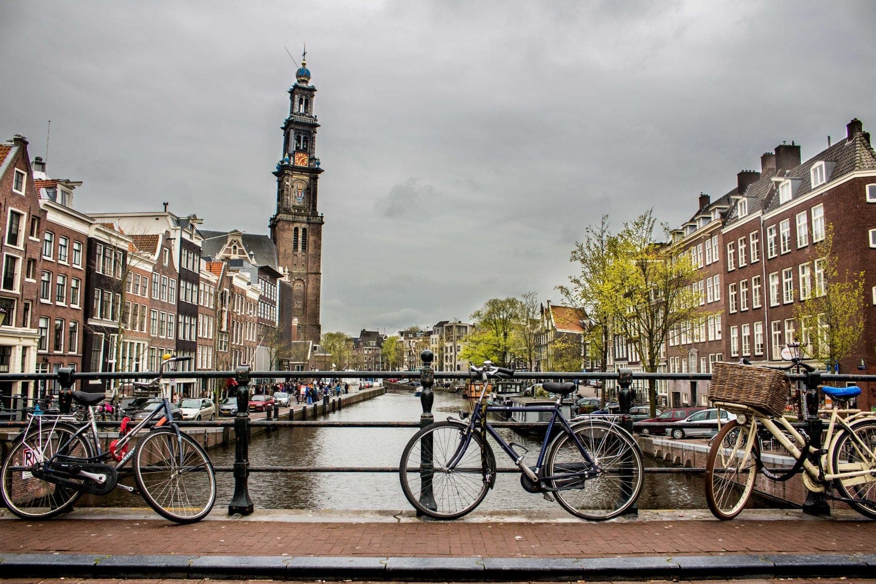 cannabis experiment Netherlands