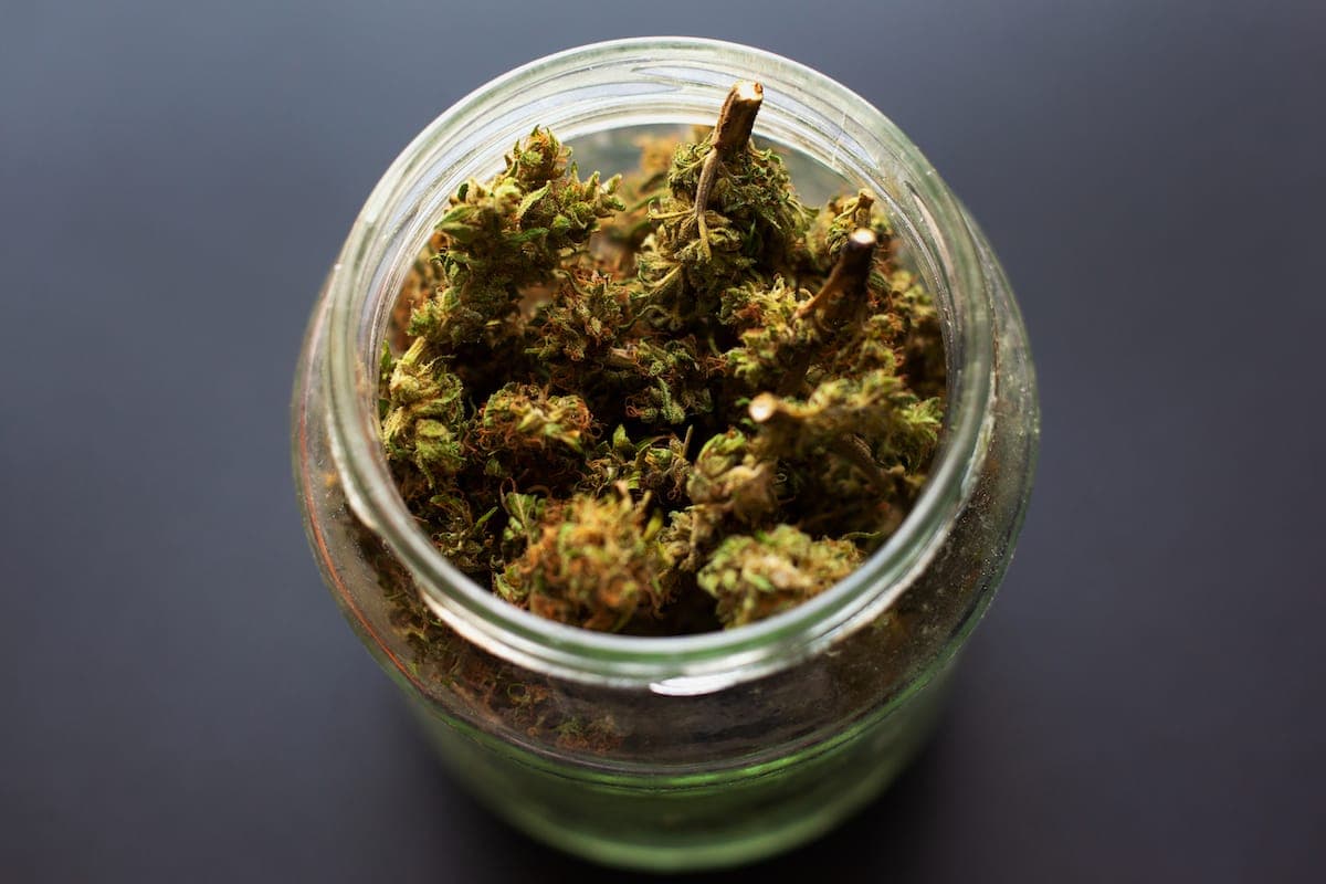 medical cannabis