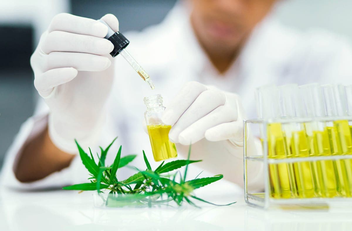 cbd testing in laboratory