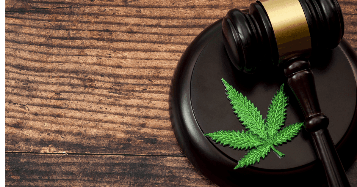 Celebrities: A judges gavel on a wooden table next to a green cannabis leaf