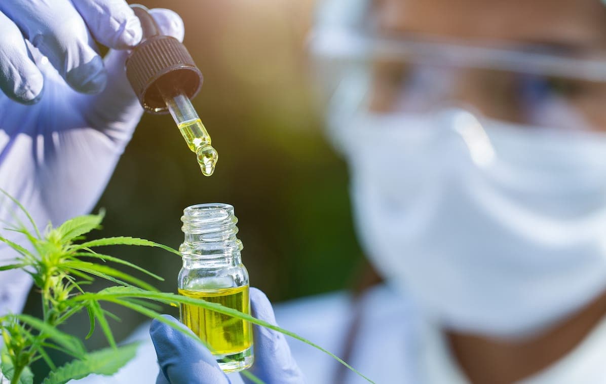medical cannabis and chronic pain
