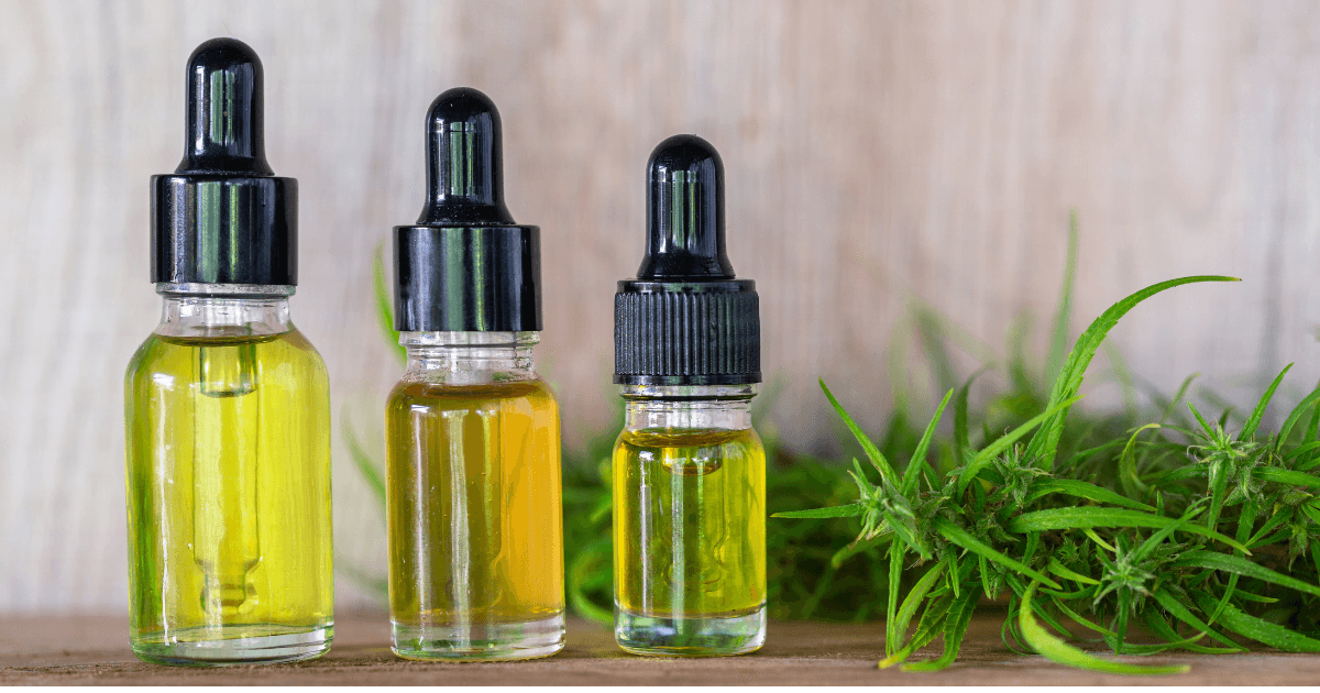 Cannabinoids: A row of three bottles of oil sitting on a shelf with a cannabis plant in the background