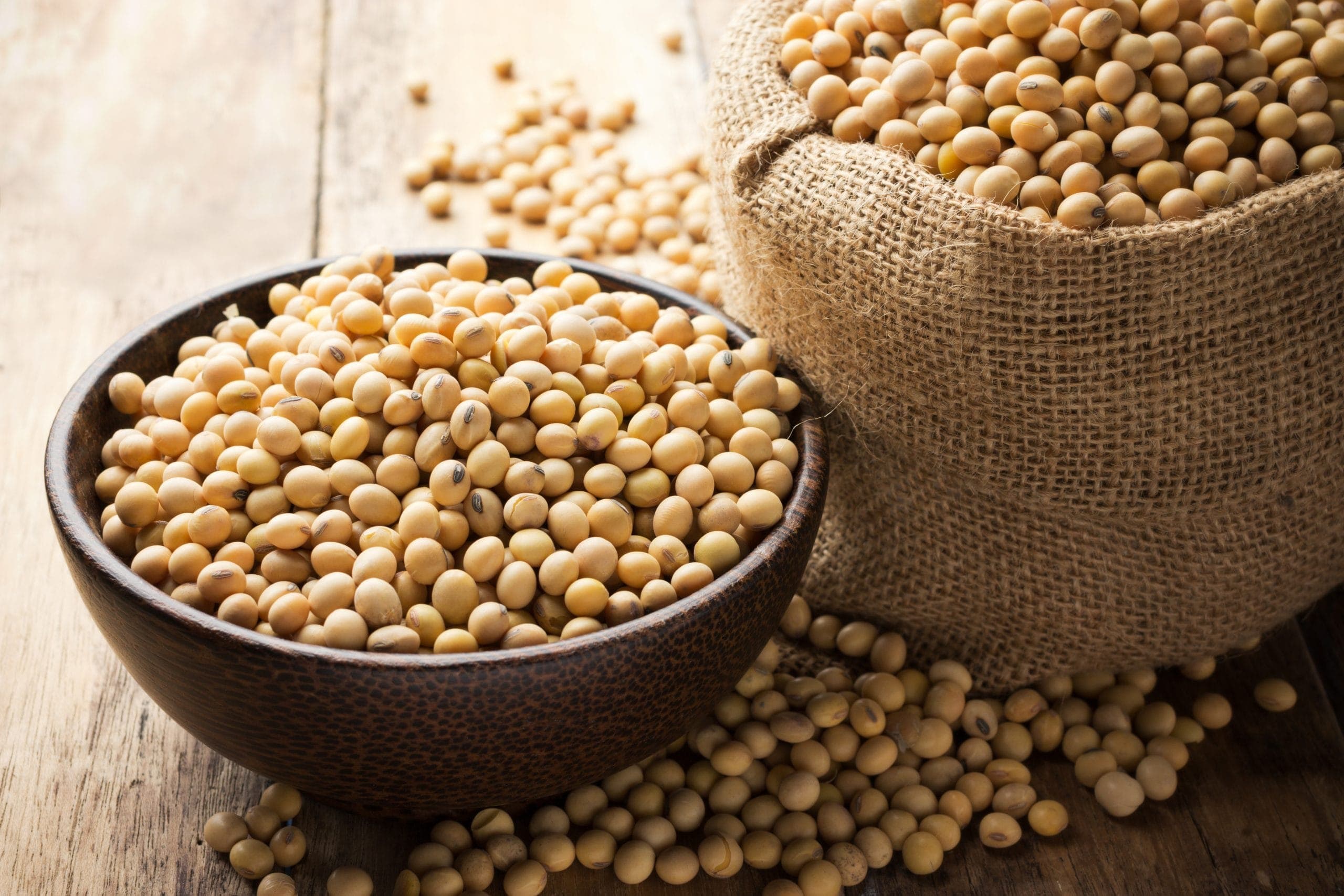 PEA: A bowl of soybeans containing PEA