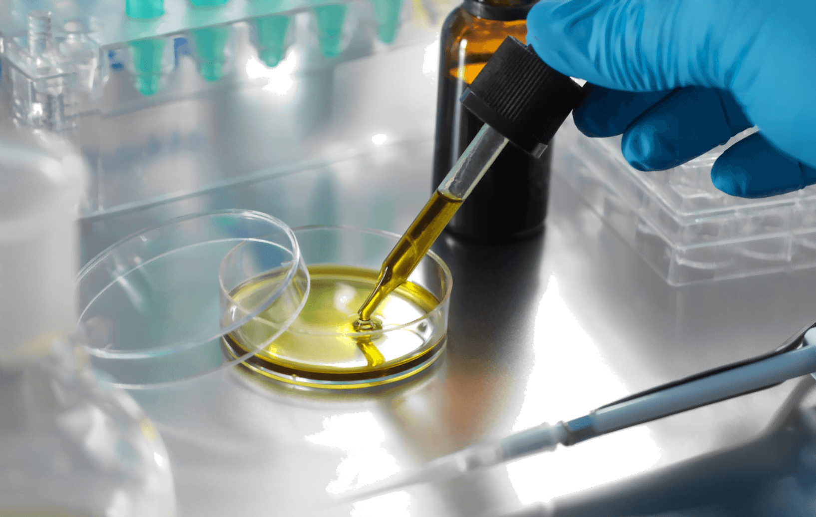 Cannabinoid receptor promise autoimmune condition treatment