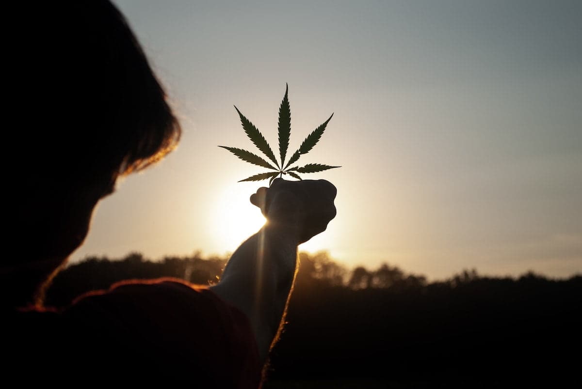 10 cannabis trends to watch out for in 2023
