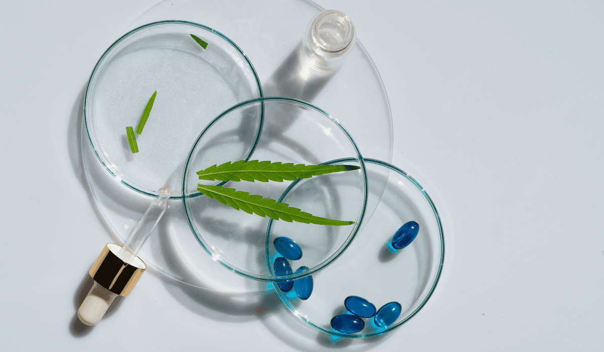 Five new cannabis research papers - sleep, epilepsy, MS and more