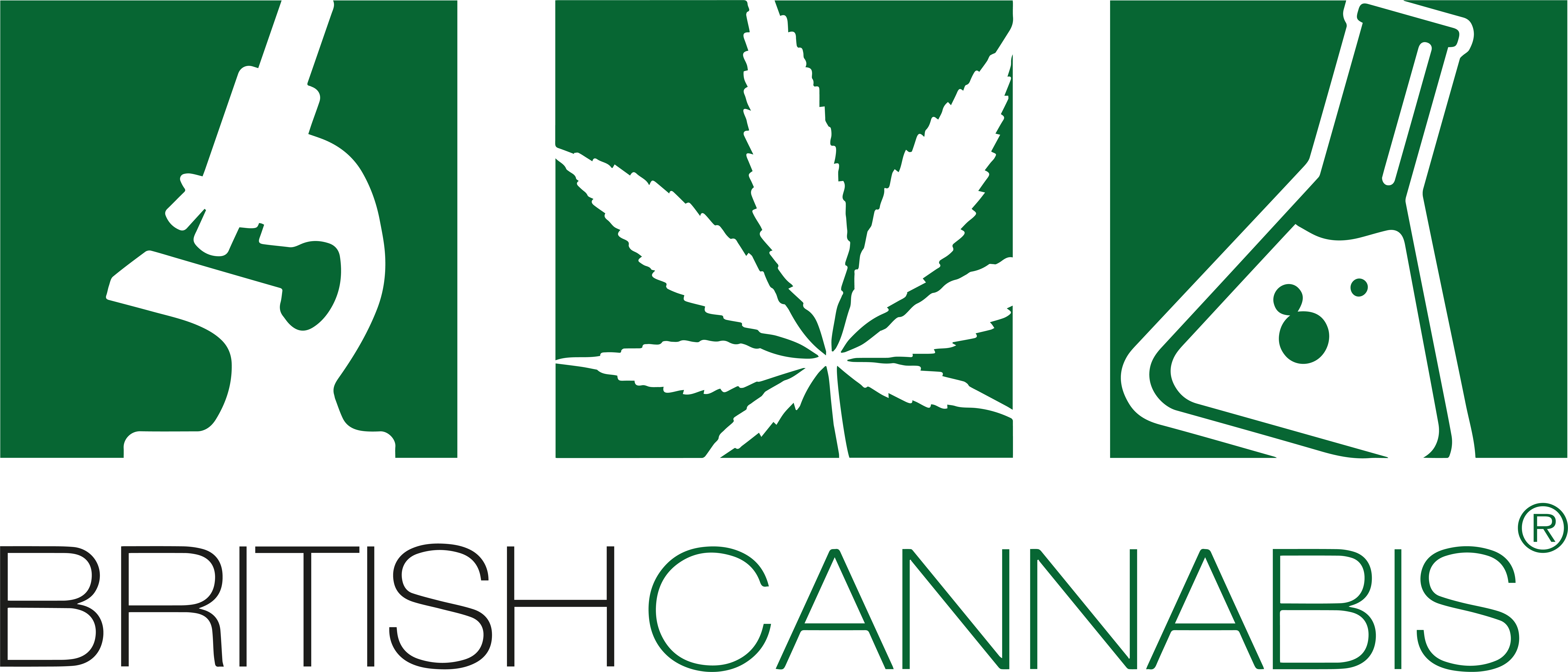 British Cannabis logo