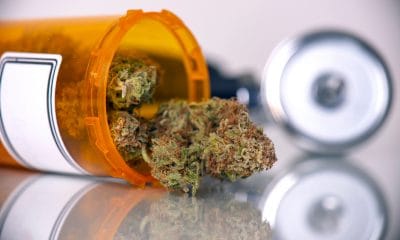 medical cannabis flower tolerance break
