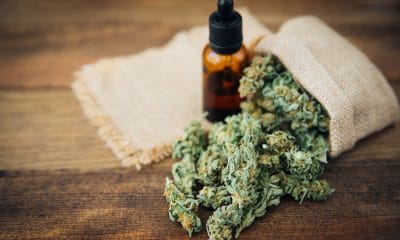 cannabis medicine