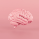 Brain study: A pink brain in the middle of a pink background