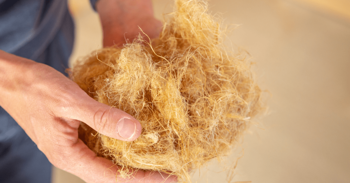 Hemp fibre insulation: A person holding a ball of insulation made from yellow hemp