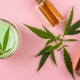 CBD beauty: A cream with a cannabis leaf on top sits next to two bottles of brown oil with another leaf on a pink background
