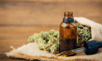 Medical cannabis report