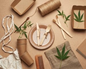 Climate change: A selection of hemp alternative items on a beige background. There is a knife and fork on the plate along with cups, balls of string, cannabis leaves and a comb